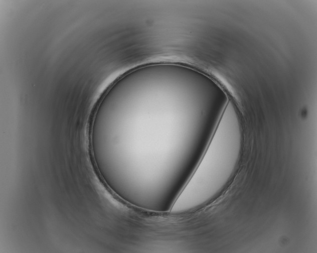X0000091471468200708161118
