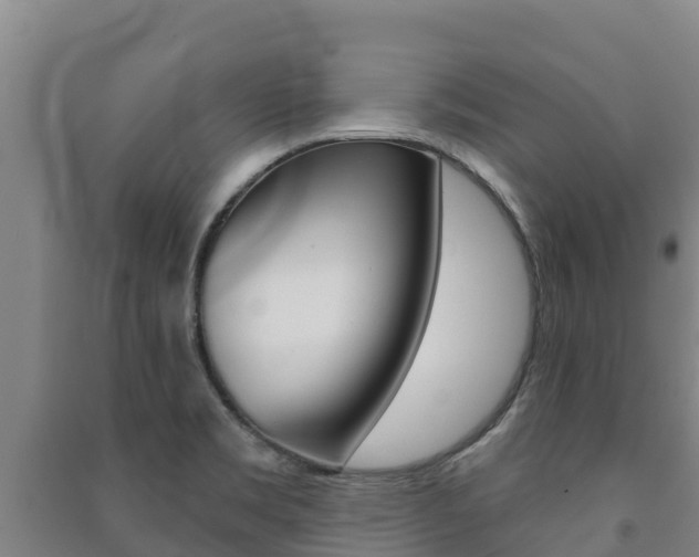 X0000091471469200708161118