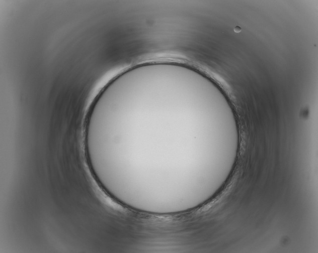 X0000091471470200708161118