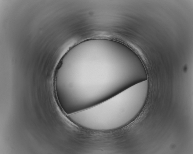 X0000091471475200708161117