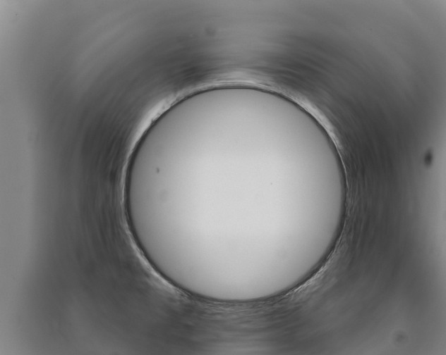 X0000091471477200708161117