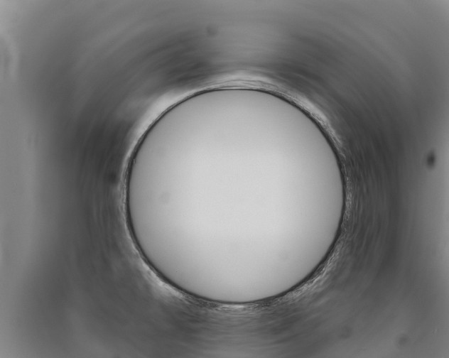 X0000091471478200708161117