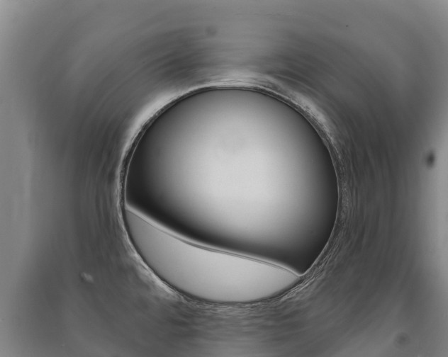 X0000091471480200708161117