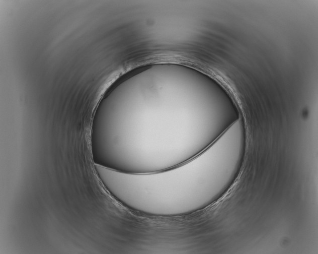 X0000091471481200708161117