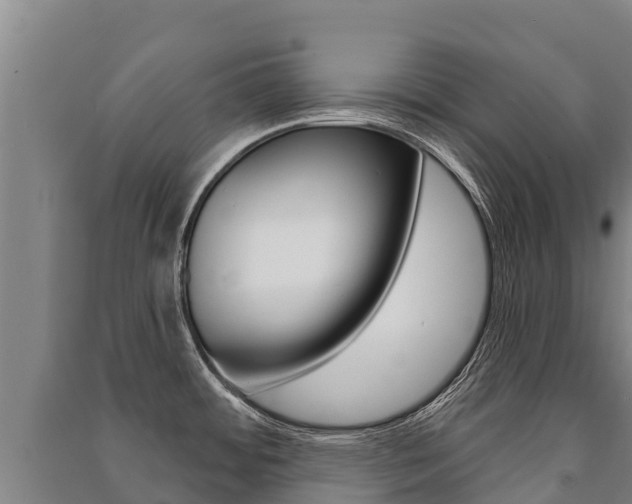 X0000091471484200708161117
