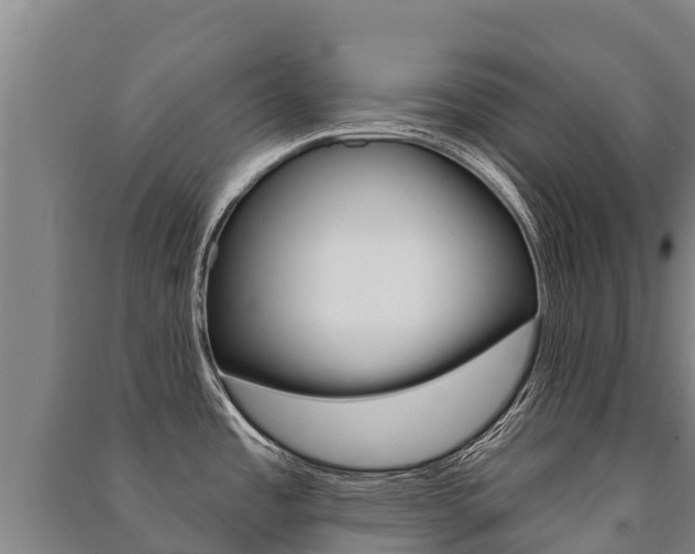 X0000091471485200708161117