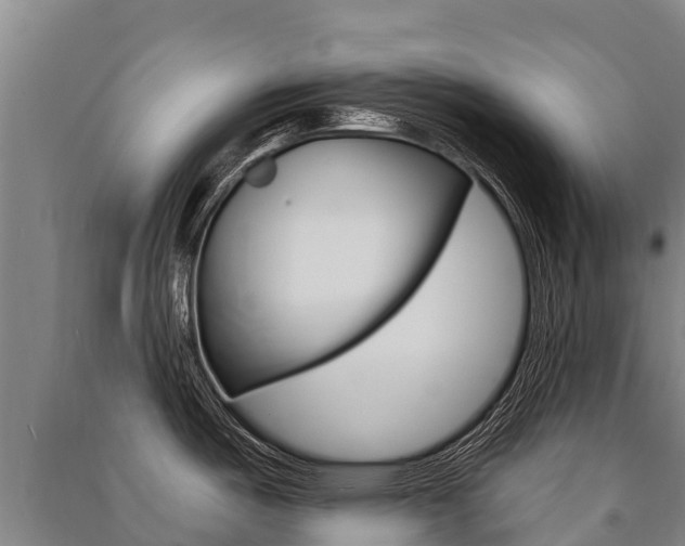 X0000091471487200708161117