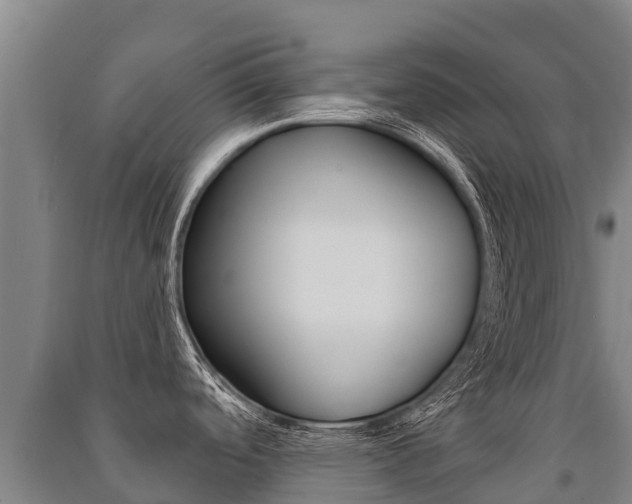 X0000091471488200708161117