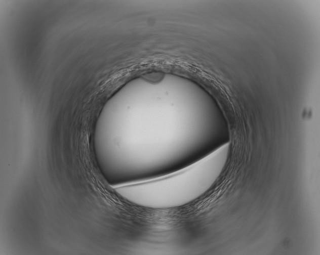X0000091471489200708161117