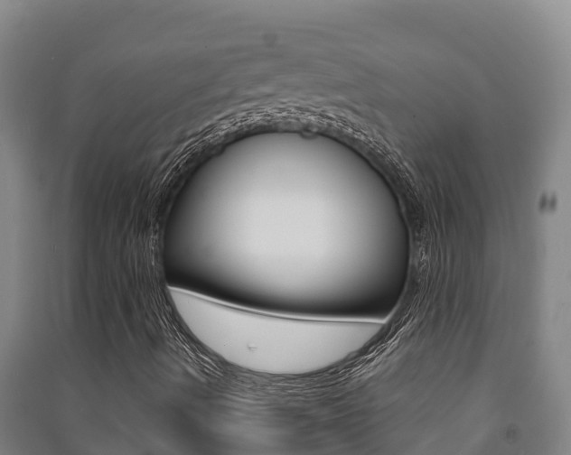 X0000091471490200708161117