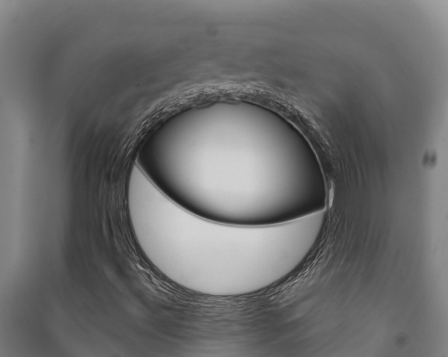 X0000091471492200708161117