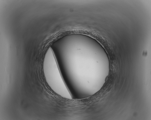 X0000091471493200708161117