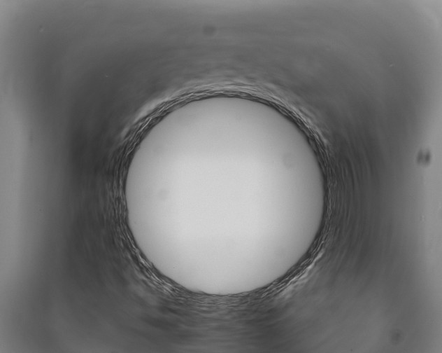 X0000091471494200708161117