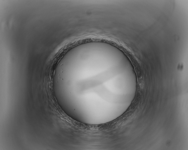 X0000091471495200708161117