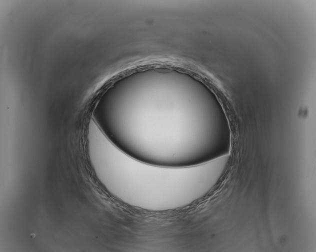 X0000091471496200708161117