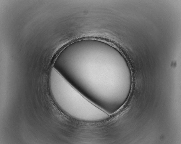 X0000091471497200708161117