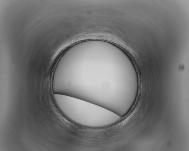 X0000091471498200708161117
