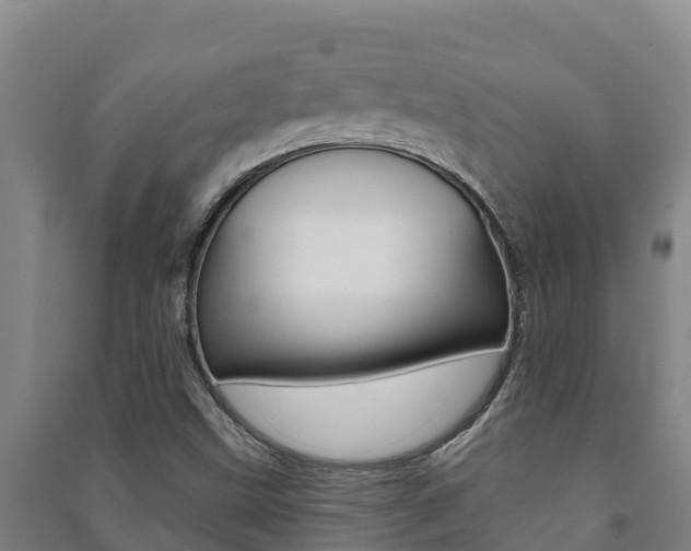 X0000091471499200708161117