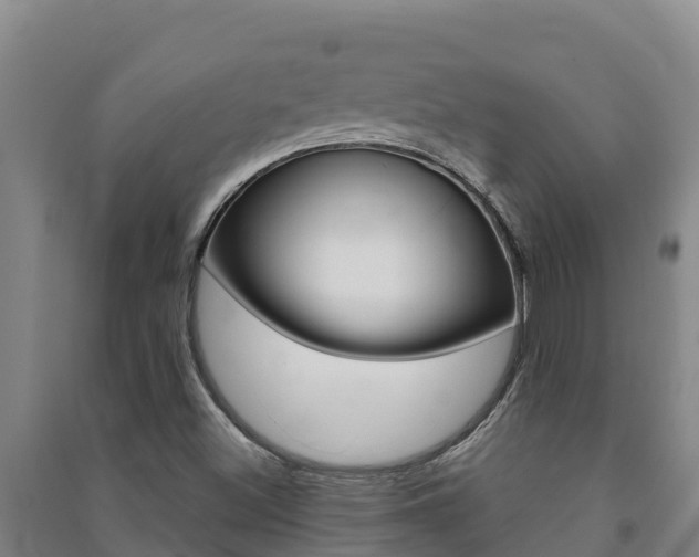 X0000091471500200708161117