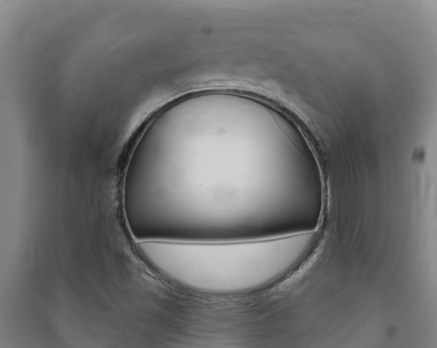 X0000091471501200708161117