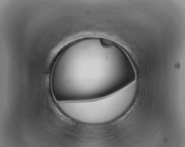 X0000091471503200708161117
