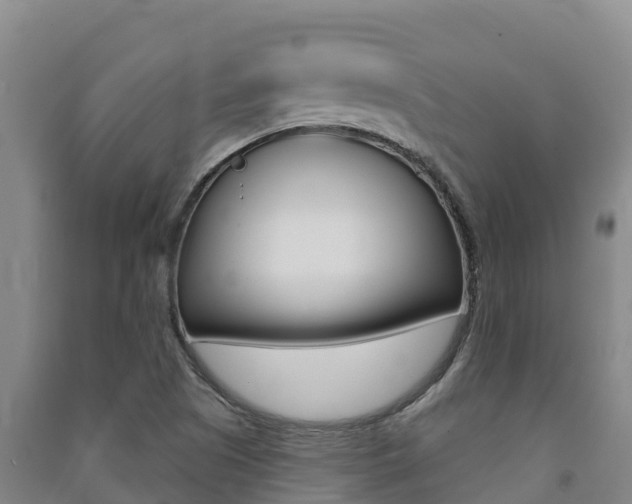 X0000091471505200708161117