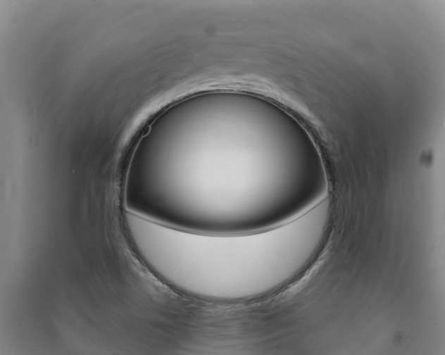 X0000091471506200708161117