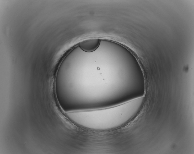 X0000091471507200708161117