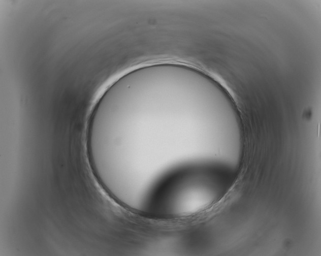 X0000091471508200708161117