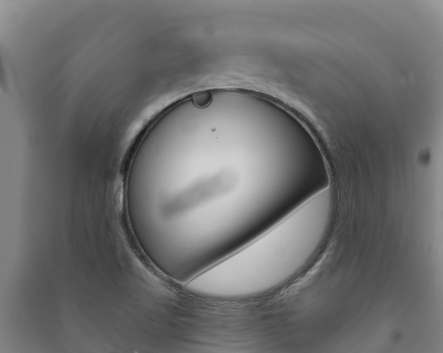 X0000091471509200708161117