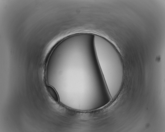 X0000091471511200708161117