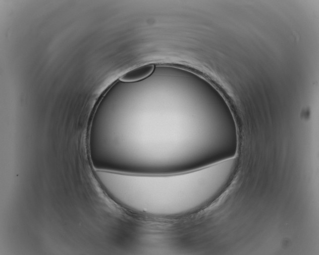 X0000091471513200708161117
