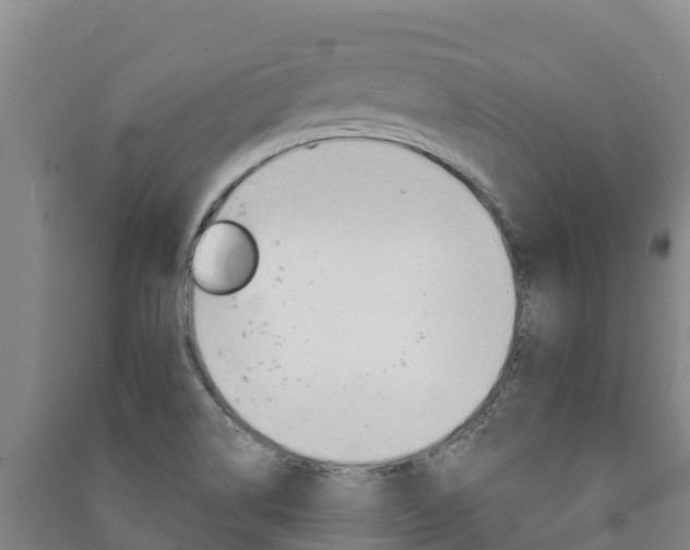 X0000091471514200708161117