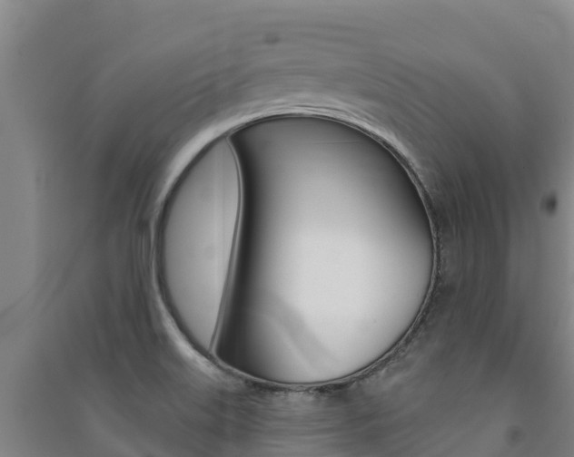 X0000091471515200708161117