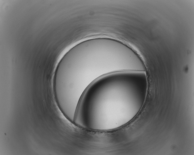 X0000091471516200708161117