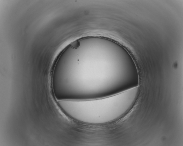 X0000091471517200708161117