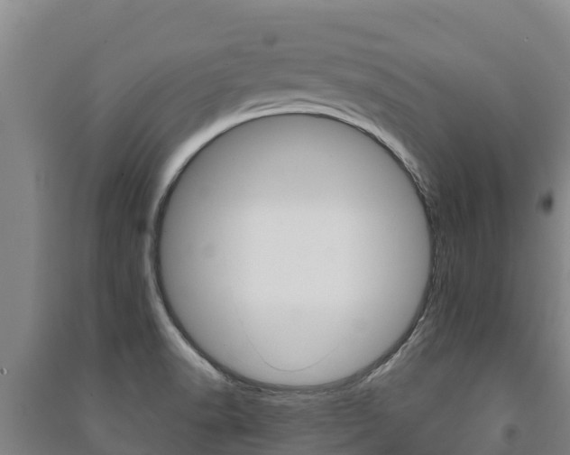 X0000091471518200708161117