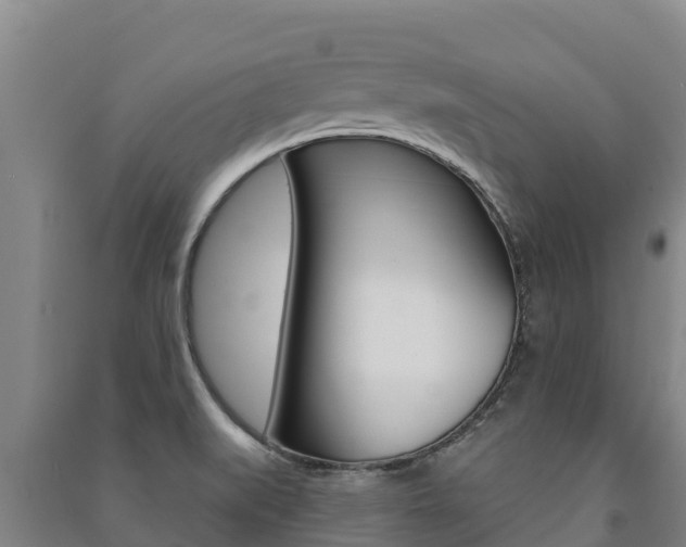X0000091471519200708161117