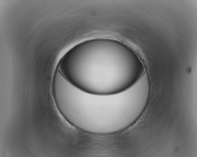 X0000091471520200708161117