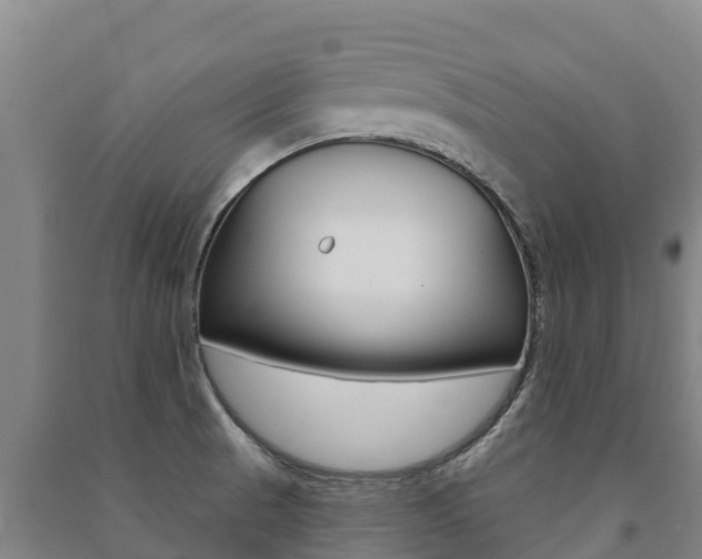 X0000091471521200708161117