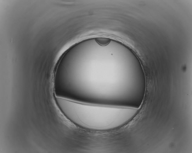 X0000091471522200708161117