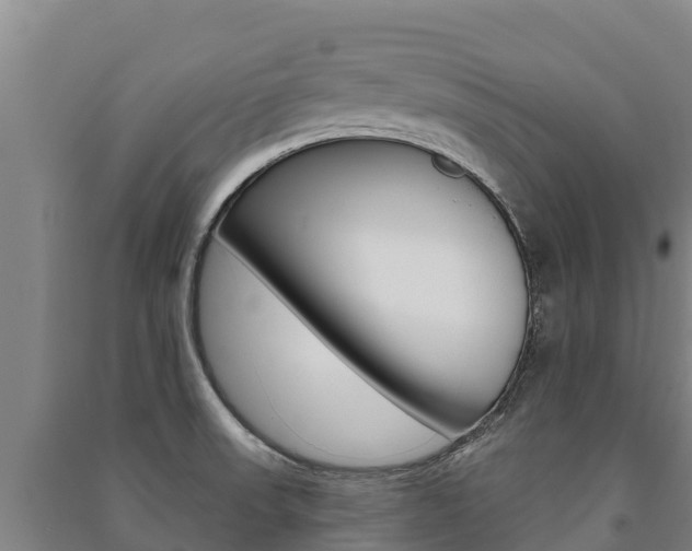 X0000091471523200708161117