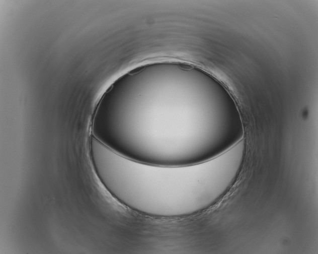 X0000091471524200708161117