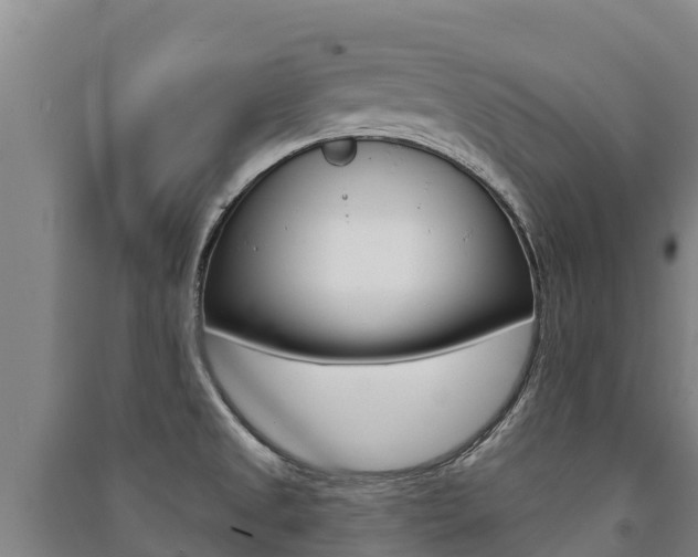 X0000091471525200708161117