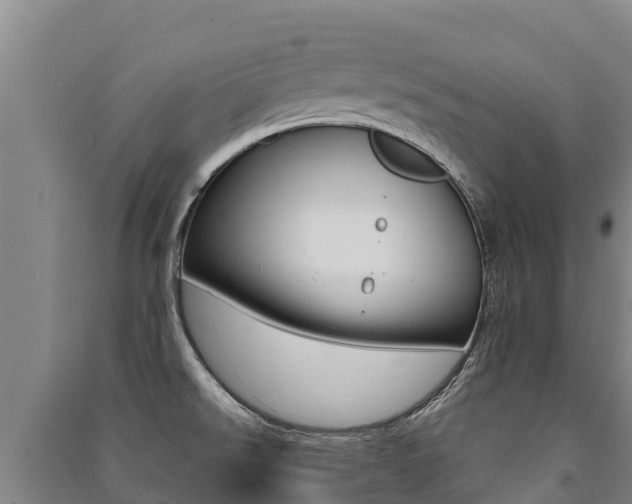 X0000091471526200708161117