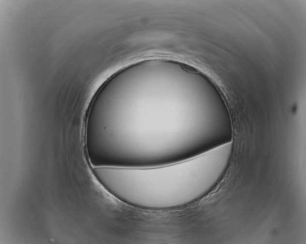 X0000091471527200708161117