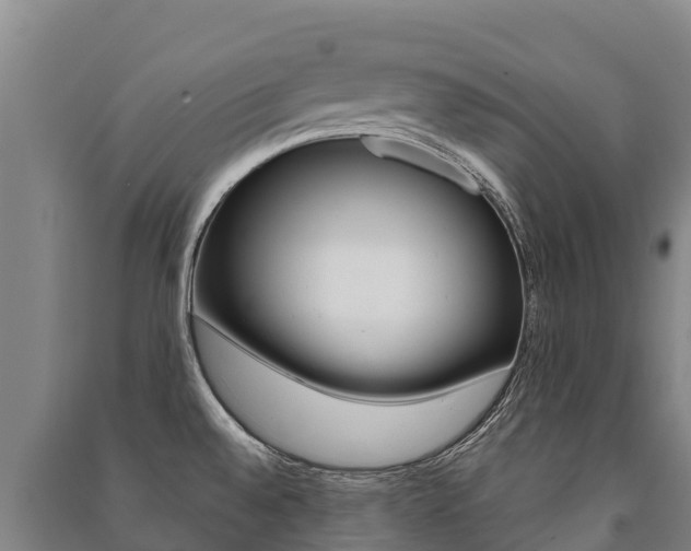 X0000091471528200708161117