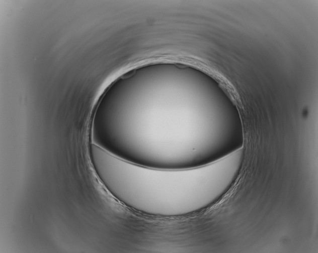 X0000091471530200708161117