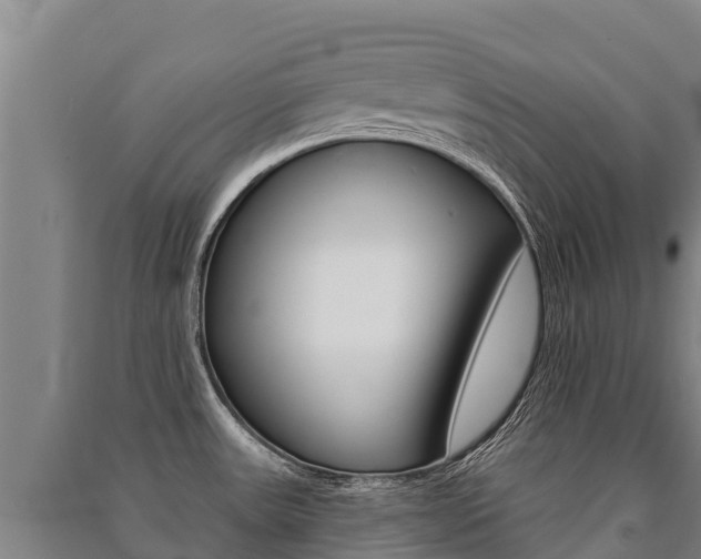 X0000091471531200708161117