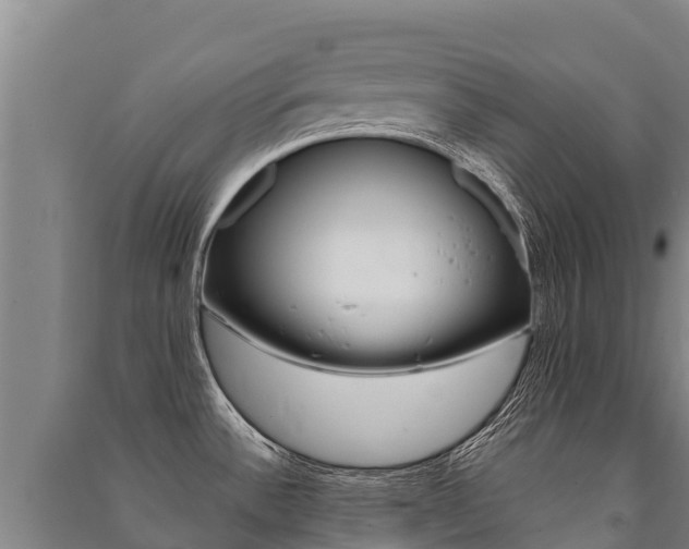 X0000091471532200708161117